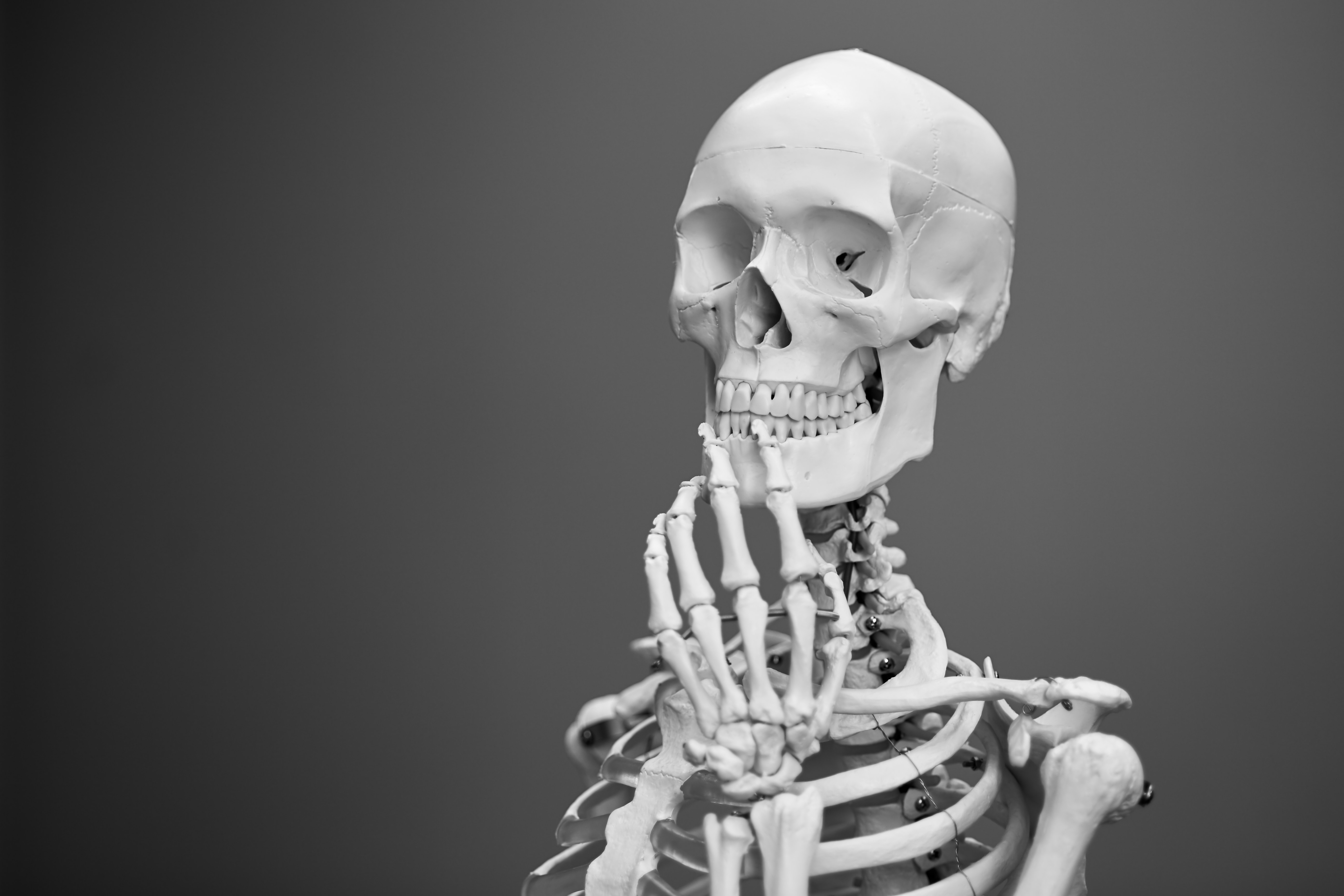 Funny bone. Скелет. Человеческий скелет. Кости человека.